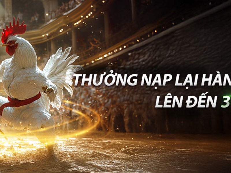 Thưởng nạp tiền vin55 win55