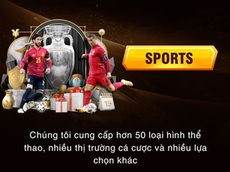 Cá cược thể thao vin55 win55