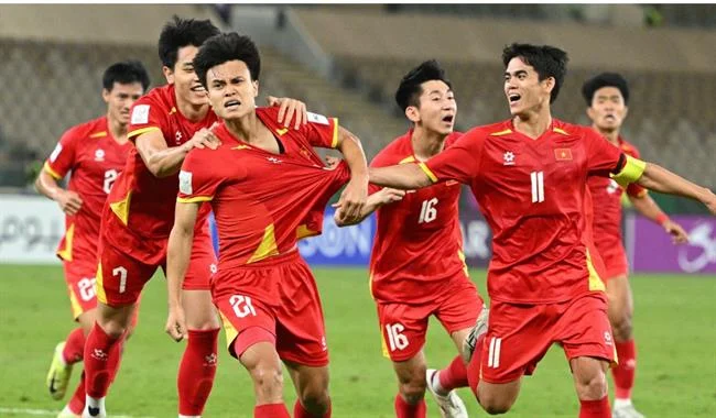 Hoàn trả hàng ngày cho cá cược thể thao Vin55/Win55